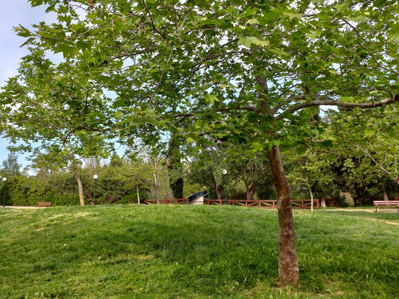 φύση και εικόνα του σώματος